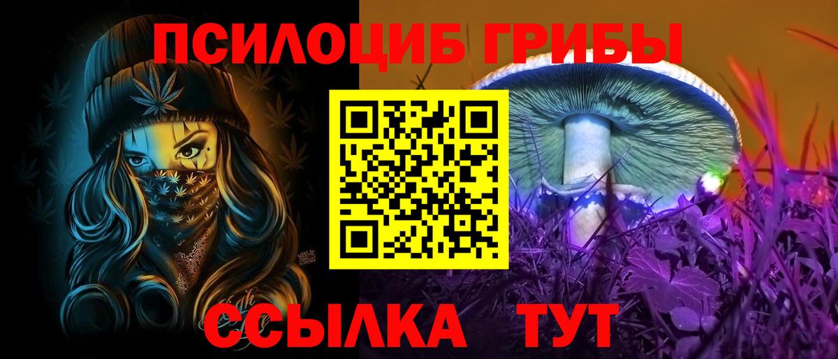 Галлюциногенные грибы мухоморы  Вход с VPN  Балашов  Галлюциногенные грибы Psilocybine cubensis 